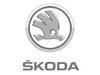 Škoda 1.6 TDI
